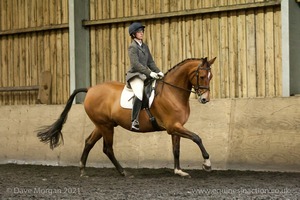 Isis Dressage Crown Farm Show 29th April 2012